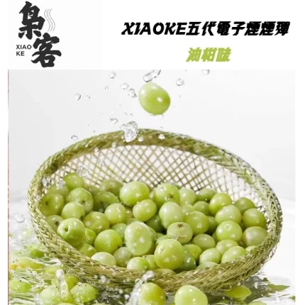 XIAOKE梟客電子煙煙彈 油柑口味