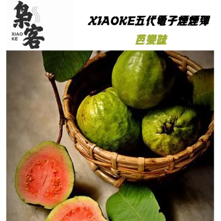 XIAOKE梟客電子煙煙彈 芭樂口味