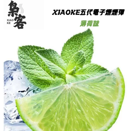 XIAOKE梟客電子煙煙彈 薄荷口味