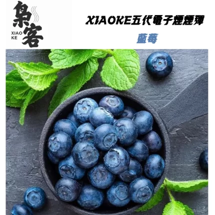 XIAOKE梟客電子煙煙彈 藍莓口味