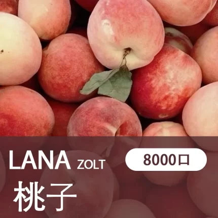 【桃子】LANA ZOLT 一次性電子菸蝦皮 8000puff大容量 可充電