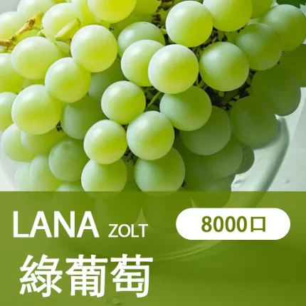 【綠葡萄】LANA ZOLT 一次性電子菸推薦 8000puff大容量 可充電
