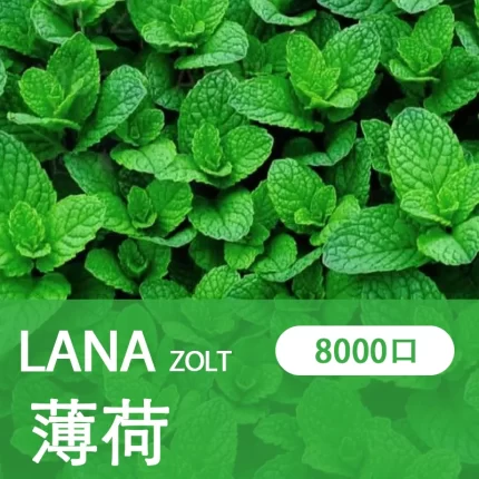 【薄荷】LANA ZOLT 拋棄式電子煙蝦皮 8000puff大容量 可充電