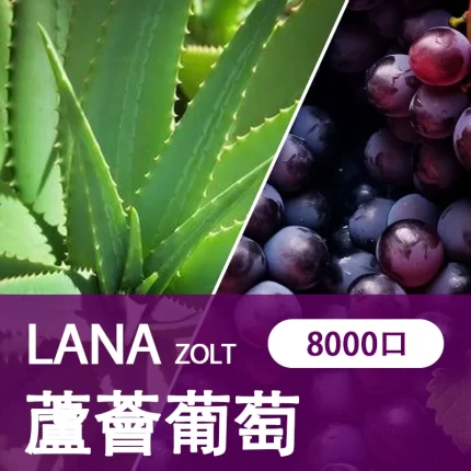 【蘆薈葡萄】LANA ZOLT 拋棄式電子菸推薦 8000puff大容量 可充電