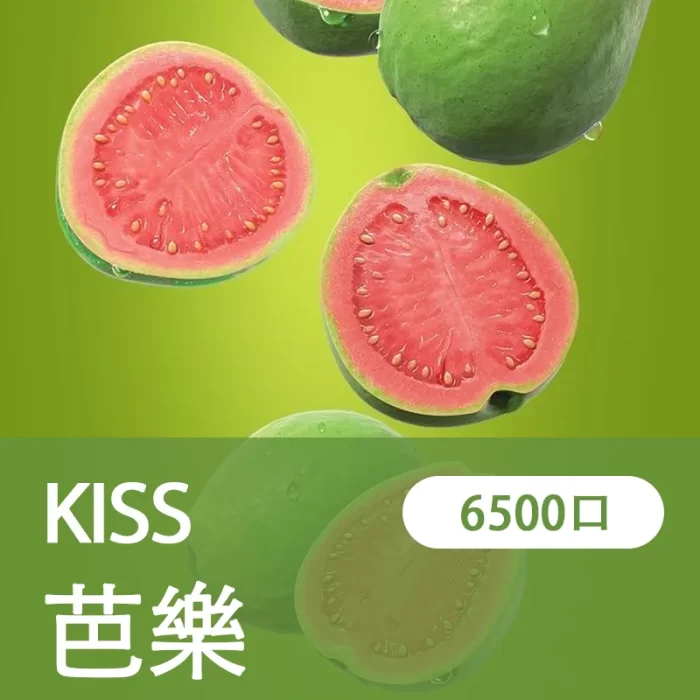 【芭樂】凱斯KISS 6500口 拋棄式電子煙 口味隨心混搭 可充電