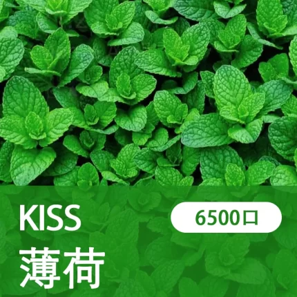 【薄荷】凱斯KISS 6500口 拋棄式電子煙 口味隨心混搭 可充電